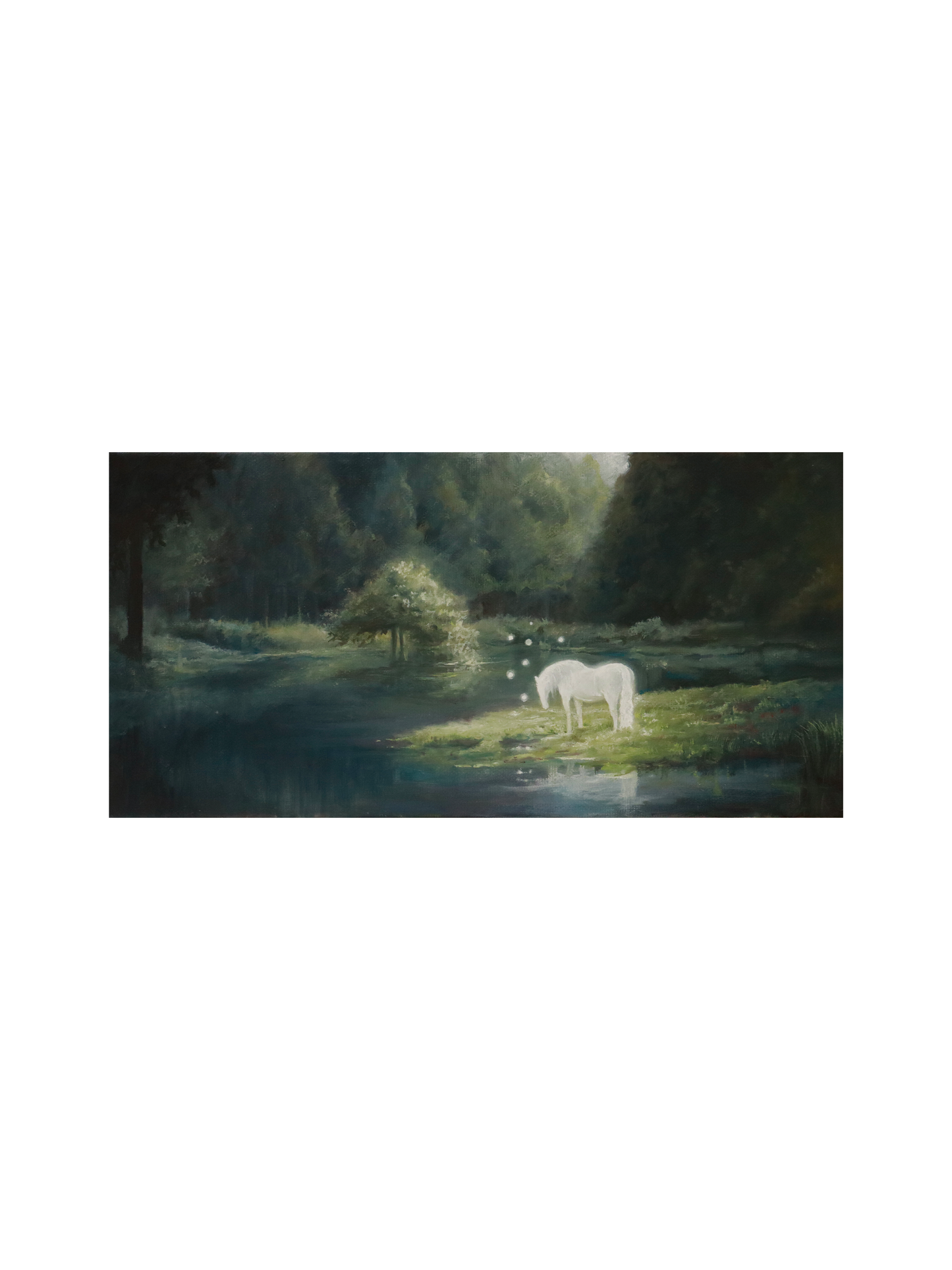 《A Place of Quiet Light》| Limited Edition Print