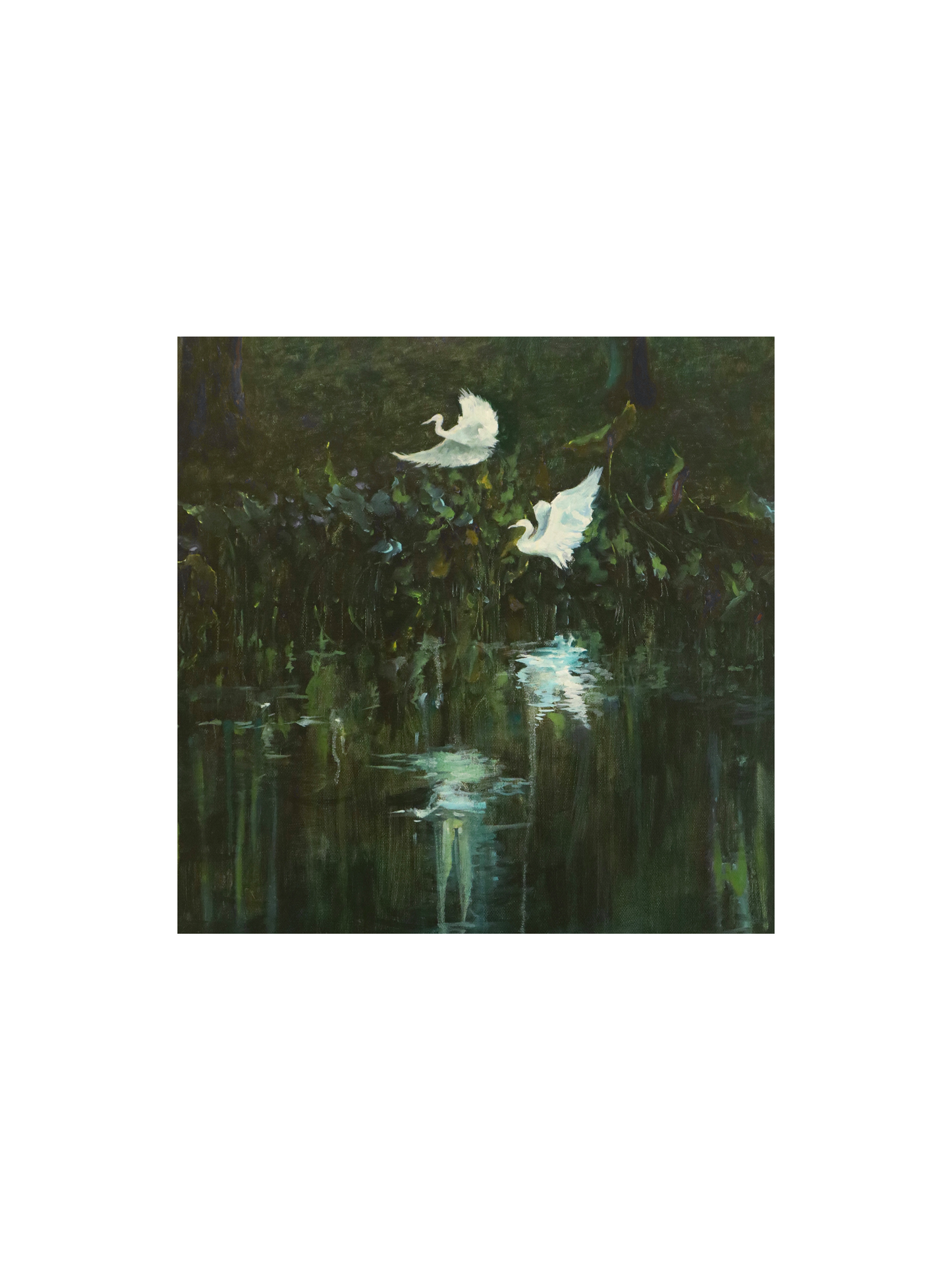 《Rippling Egret in the Pond》