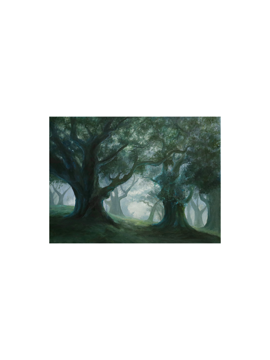 《After the Rain》