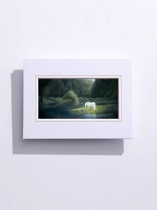《A Place of Quiet Light》| Limited Edition Print