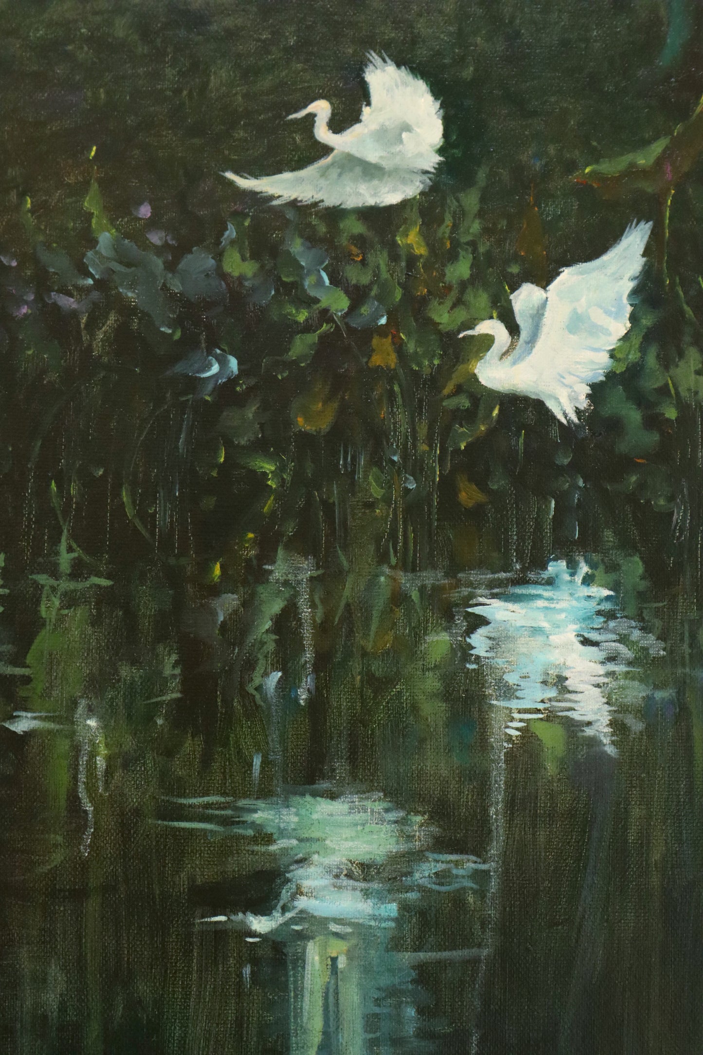 《Rippling Egret in the Pond》