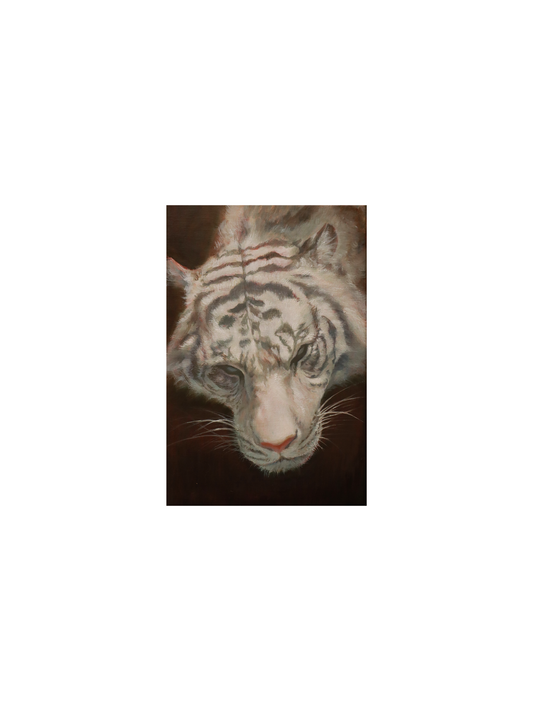 《Gaze》